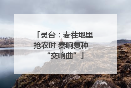 灵台：麦茬地里抢农时 奏响复种“交响曲”