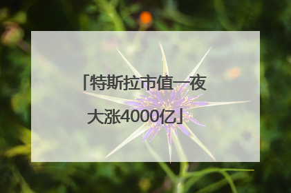 特斯拉市值一夜大涨4000亿
