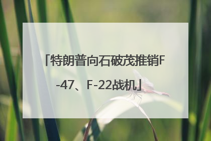 特朗普向石破茂推销F-47、F-22战机