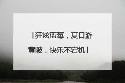 狂炫蓝莓，夏日游黄陂，快乐不宕机