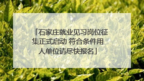 石家庄就业见习岗位征集正式启动 符合条件用人单位请尽快报名