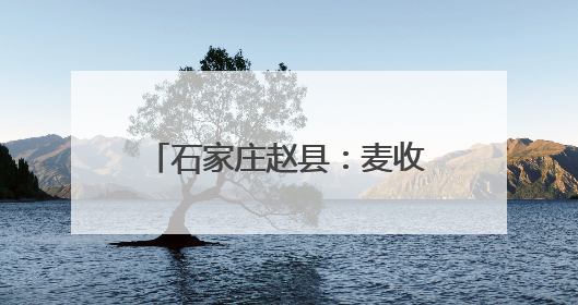 石家庄赵县：麦收时节好“丰”景