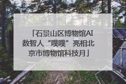 石景山区博物馆AI数智人“噗噗”亮相北京市博物馆科技月