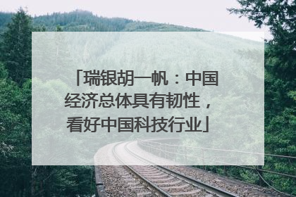 瑞银胡一帆：中国经济总体具有韧性，看好中国科技行业