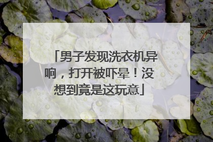 男子发现洗衣机异响，打开被吓晕！没想到竟是这玩意