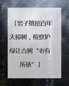 男子擅挖百年大樟树，检察护绿让古树“老有所依”
