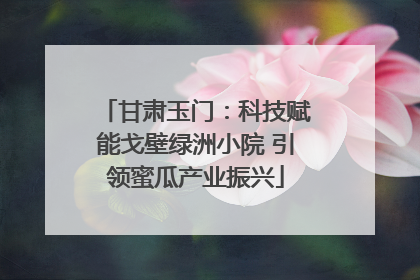 甘肃玉门：科技赋能戈壁绿洲小院 引领蜜瓜产业振兴