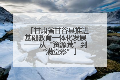 甘肃省甘谷县推进基础教育一体化发展——从“资源荒”到“满堂彩”
