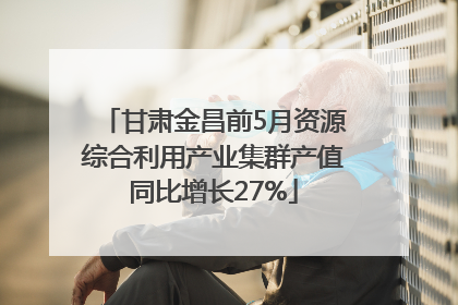 甘肃金昌前5月资源综合利用产业集群产值同比增长27%