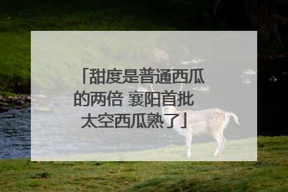 甜度是普通西瓜的两倍 襄阳首批太空西瓜熟了