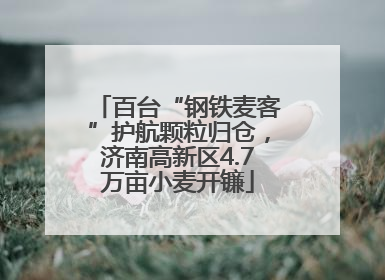 百台“钢铁麦客”护航颗粒归仓，济南高新区4.7万亩小麦开镰