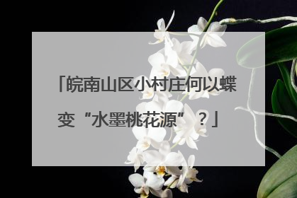 皖南山区小村庄何以蝶变“水墨桃花源”？
