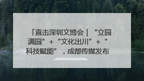 直击深圳文博会｜“立园满园”+“文化出川”+“科技赋能”，成都传媒发布三大文创领域合作清单