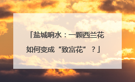 盐城响水：一颗西兰花如何变成“致富花”？