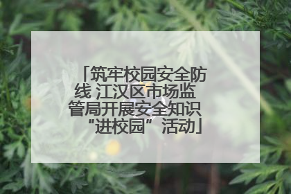 筑牢校园安全防线 江汉区市场监管局开展安全知识“进校园”活动