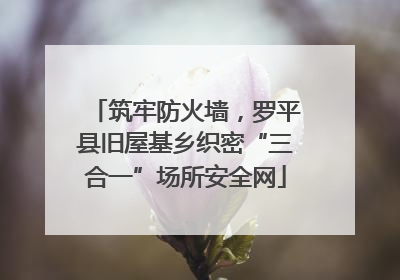 筑牢防火墙，罗平县旧屋基乡织密“三合一”场所安全网