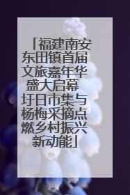 福建南安东田镇首届文旅嘉年华盛大启幕 圩日市集与杨梅采摘点燃乡村振兴新动能
