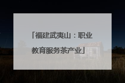 福建武夷山：职业教育服务茶产业
