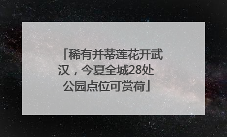 稀有并蒂莲花开武汉，今夏全城28处公园点位可赏荷