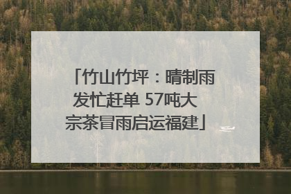 竹山竹坪：晴制雨发忙赶单 57吨大宗茶冒雨启运福建