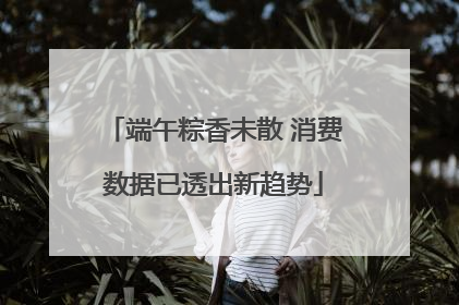 端午粽香未散 消费数据已透出新趋势