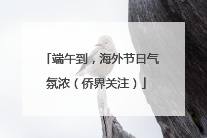 端午到，海外节日气氛浓（侨界关注）