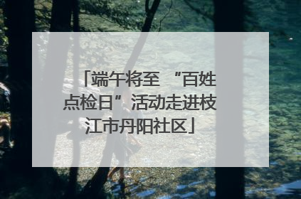 端午将至 “百姓点检日”活动走进枝江市丹阳社区