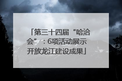 第三十四届“哈洽会”：6项活动展示开放龙江建设成果