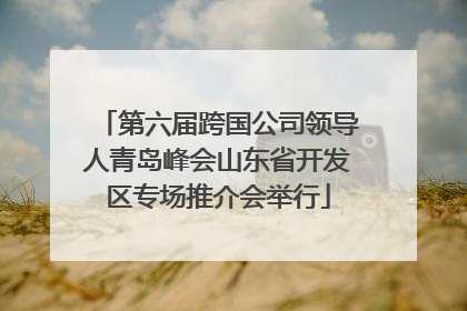 第六届跨国公司领导人青岛峰会山东省开发区专场推介会举行