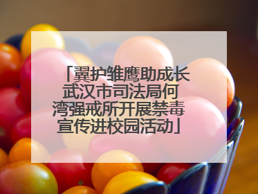 翼护雏鹰助成长 武汉市司法局何湾强戒所开展禁毒宣传进校园活动