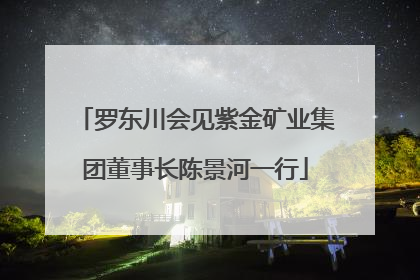 罗东川会见紫金矿业集团董事长陈景河一行