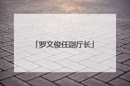罗文俊任副厅长