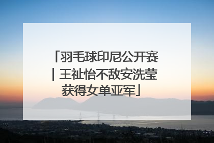 羽毛球印尼公开赛｜王祉怡不敌安洗莹 获得女单亚军