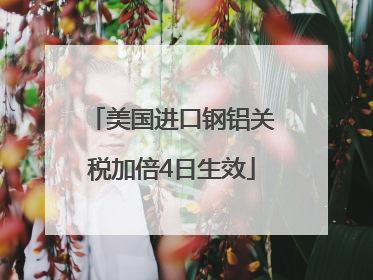 美国进口钢铝关税加倍4日生效