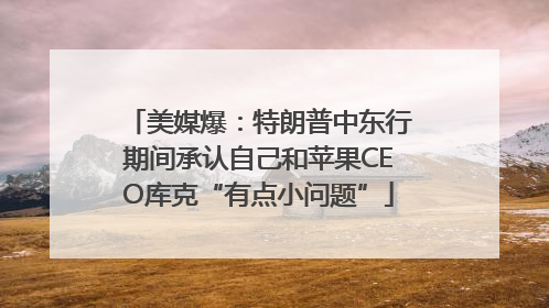 美媒爆：特朗普中东行期间承认自己和苹果CEO库克“有点小问题”