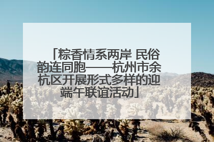 粽香情系两岸 民俗韵连同胞——杭州市余杭区开展形式多样的迎端午联谊活动
