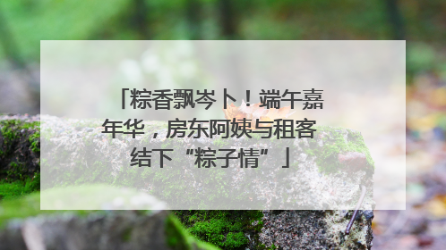 粽香飘岑卜！端午嘉年华，房东阿姨与租客结下“粽子情”
