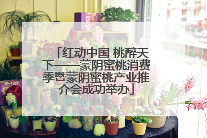 红动中国 桃醉天下——蒙阴蜜桃消费季暨蒙阴蜜桃产业推介会成功举办