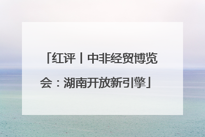 红评丨中非经贸博览会：湖南开放新引擎