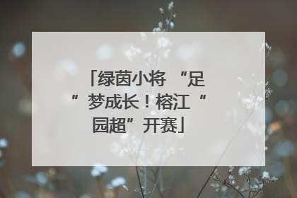绿茵小将 “足”梦成长！榕江“园超”开赛