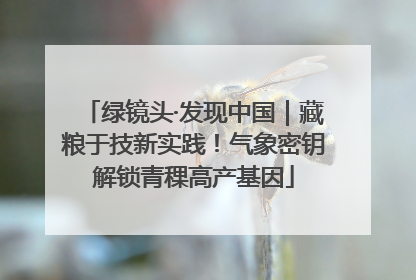 绿镜头·发现中国｜藏粮于技新实践！气象密钥解锁青稞高产基因