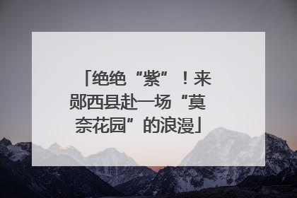 绝绝“紫”！来郧西县赴一场“莫奈花园”的浪漫