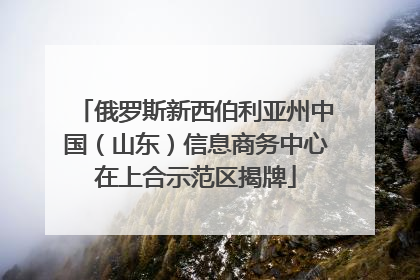 俄罗斯新西伯利亚州中国（山东）信息商务中心在上合示范区揭牌