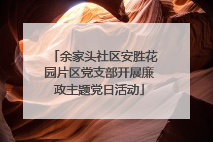 余家头社区安胜花园片区党支部开展廉政主题党日活动