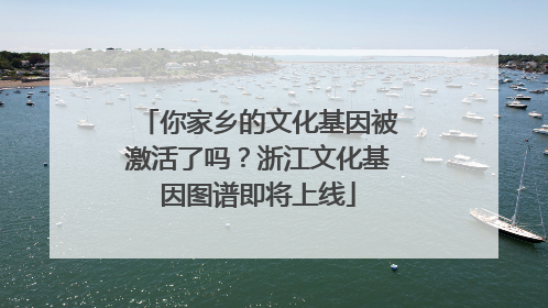 你家乡的文化基因被激活了吗？浙江文化基因图谱即将上线