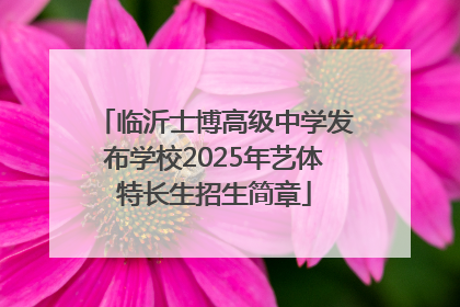 临沂士博高级中学发布学校2025年艺体特长生招生简章