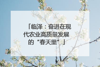 临泽：奋进在现代农业高质量发展的“春天里”