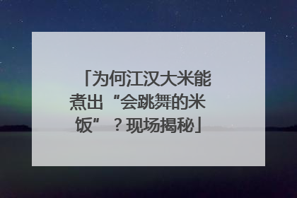 为何江汉大米能煮出“会跳舞的米饭”？现场揭秘