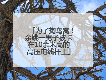 为了掏鸟窝！余姚一男子被卡在10余米高的高压电线杆上
