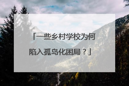 一些乡村学校为何陷入孤岛化困局？